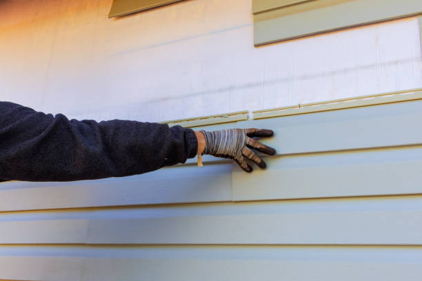 Best Historical Building Siding Restoration  in Oasis, CA